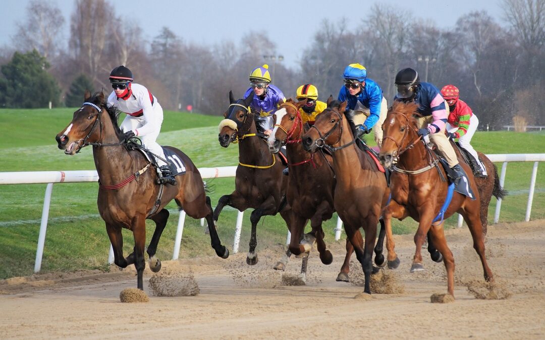 newcastle racecorse