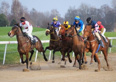 newcastle racecorse