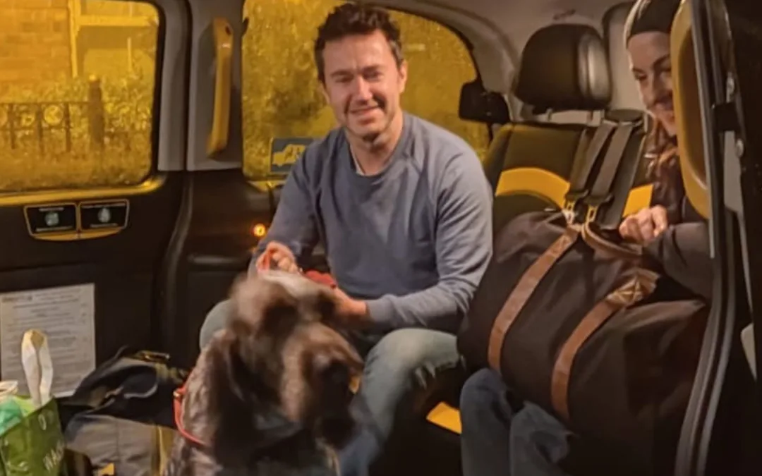 charlie dog in taxi